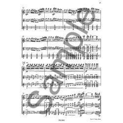 Wusthoff: Concerto De Samba