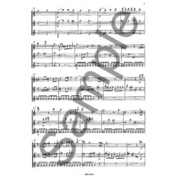 Telemann: Concerto A Minor