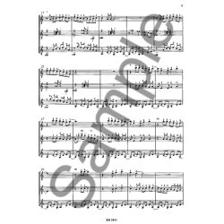 Kleine Bluesmusik. Fnf Stcke Fr 3 Gi