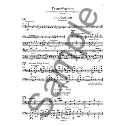 Tchaikovsky: Orchestral Studies: Ballets And Operas