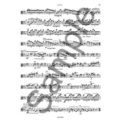 Bruckner: Orchestral Studies: Symphonies 1-9