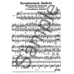 Peter Benoit: Symphonic Poem (Flute/Piano)