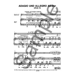 Schumann, R: Adagio And Allegro Op 70