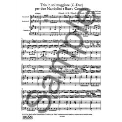 Giuliano: Trio G Major