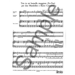 Cauciello: Trio E Flat Major