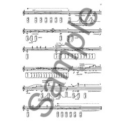 Offermans, W: For The Contemporary Flautist