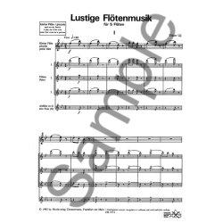 Ujj, V: Lustige Flotenmusik