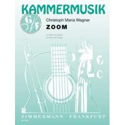 Zoom Fr Flte Mit Gitarre