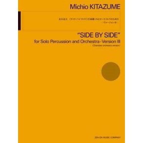 Side By Side Version III