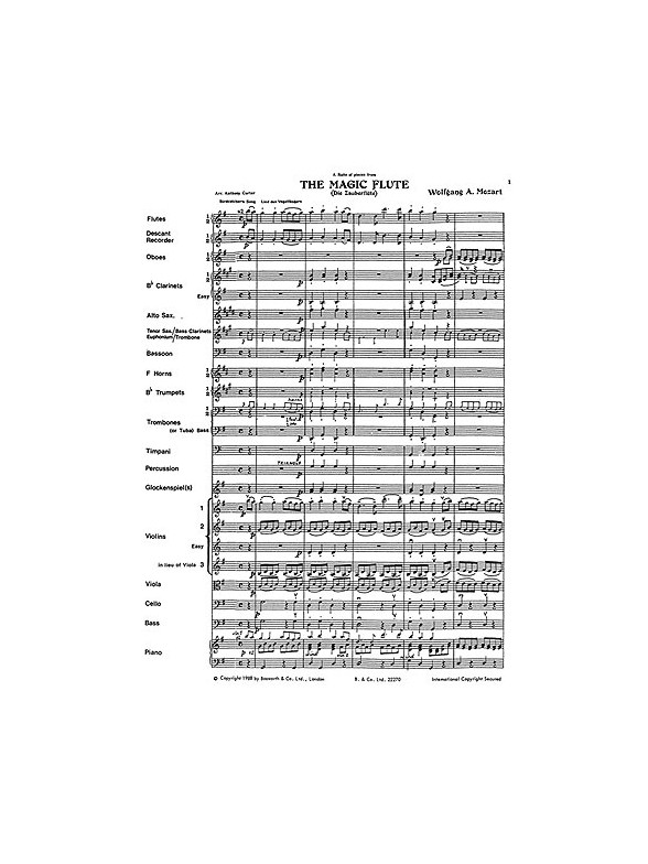 W.A. Mozart: Selections From The Magic Flute (Bosworth Amateur School Orchestra)