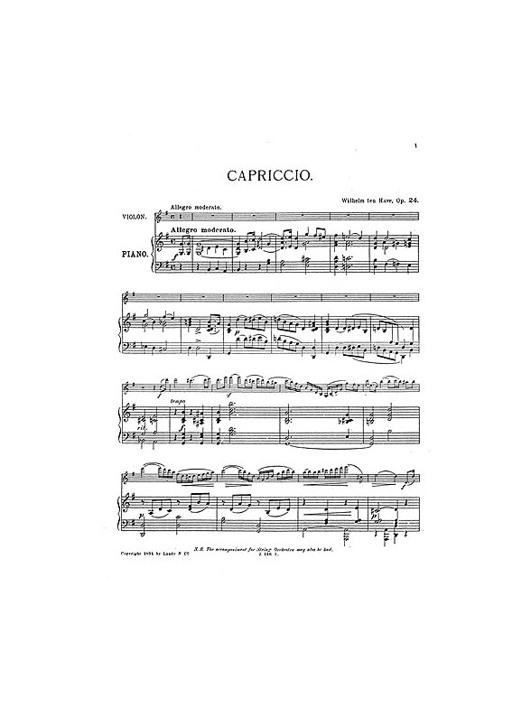 Willem Ten Have: Capriccio Op.24
