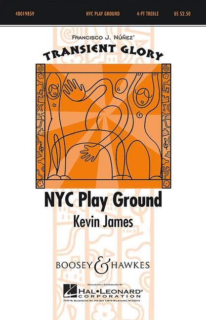 NYC Play Ground