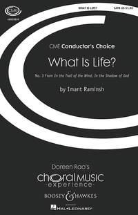 What is Life? : No.3 from In the Trail of the Wind, In the Shadow of God