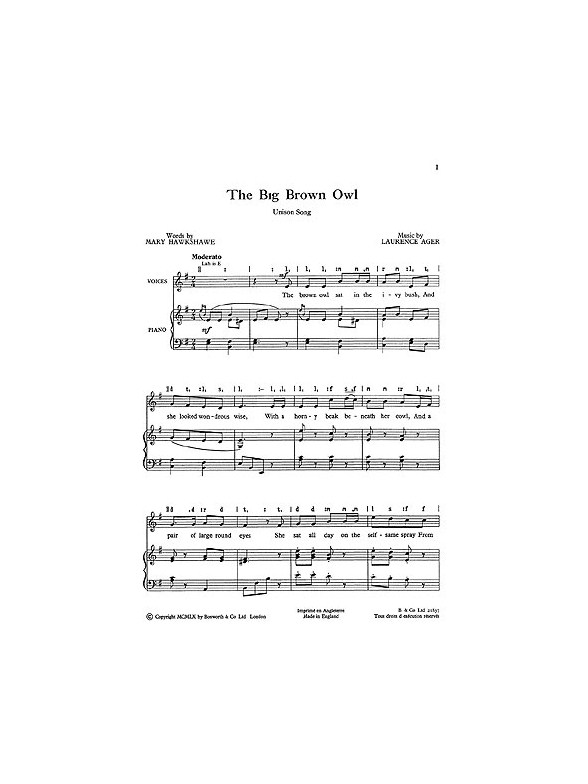 Ager, L The Big Brown Owl Unison