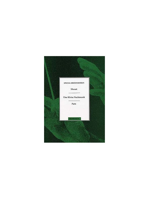 W.A. Mozart: Eine Kleine Nachtmusik K.525 - First Movement (Recorder Ensemble Parts)