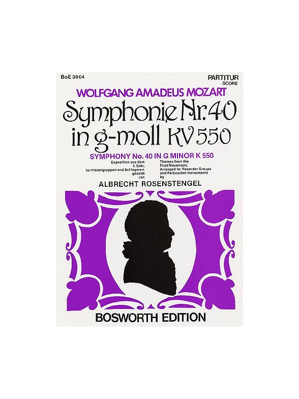 W.A. Mozart: Symphony In G Minor No.40 (1st Movement)