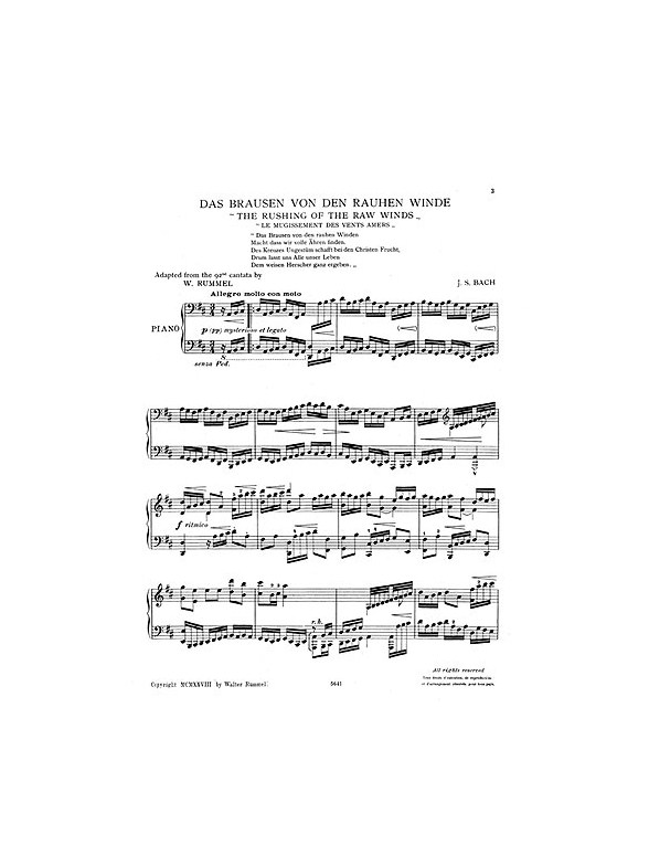 J.S.Bach/Walter Rummel: The Rushing Of The Raw Winds