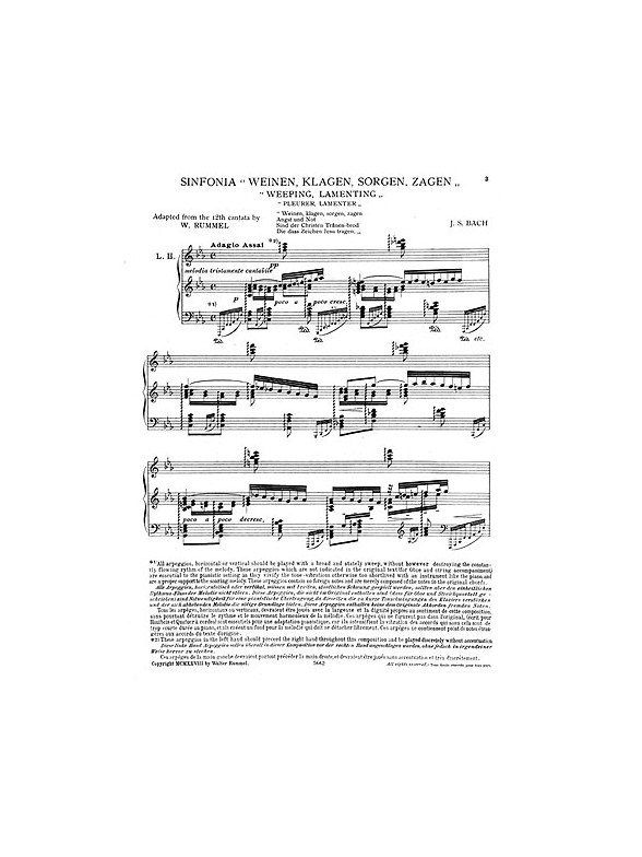 J.S.Bach/Walter Rummel: Sinfonia-Weeping, Lamenting