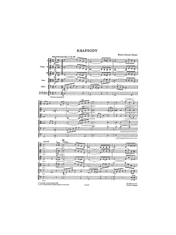 Playstrings Moderately Easy No. 15 Rhapsody (Carson Turner)