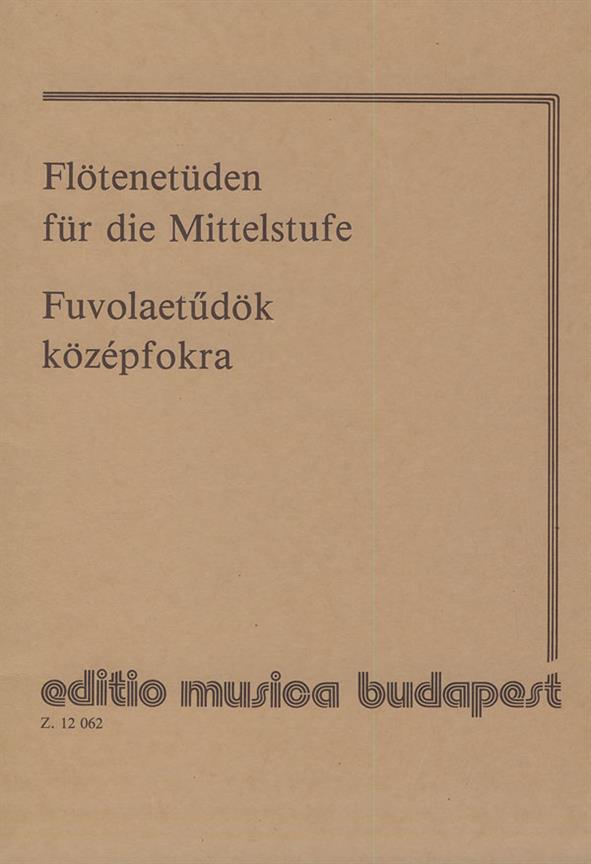 Flötenetüden für die Mittelstufe : für die Mittelstufe