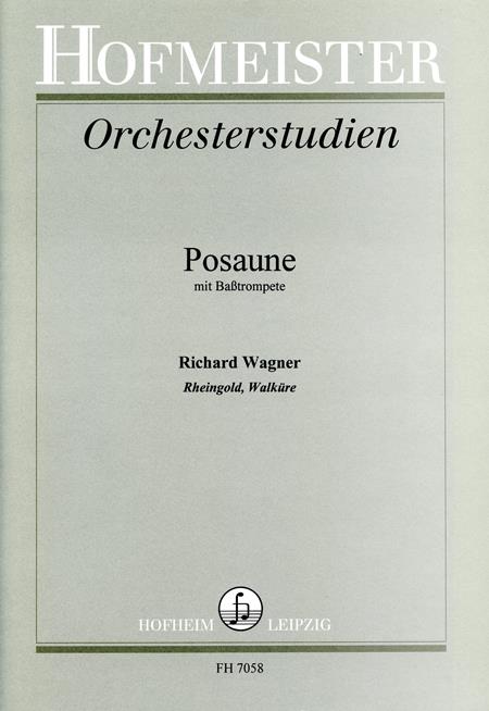 Wagner: Orchestral Studies - Rhinegold