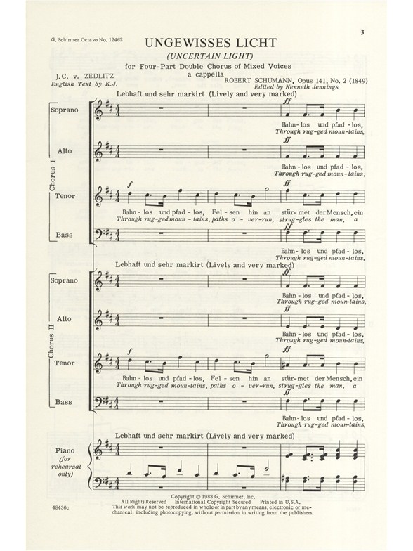 Robert Schumann: Ungewisses Licht Op.141 No.2