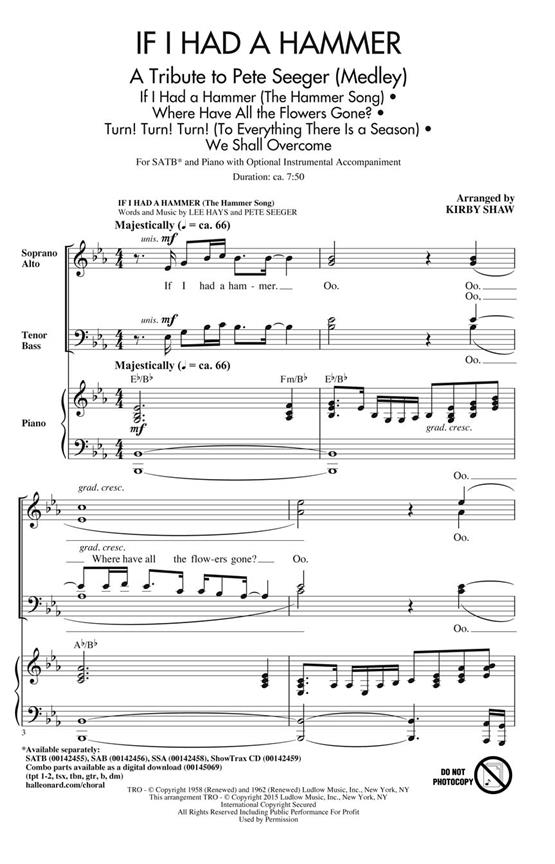 If I Had a Hammer - A Tribute to Pete Seeger : Medley