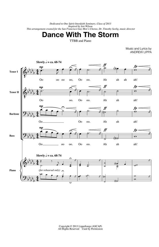 Dance with the Storm : Timothy Seelig Choral Series Voices Rising