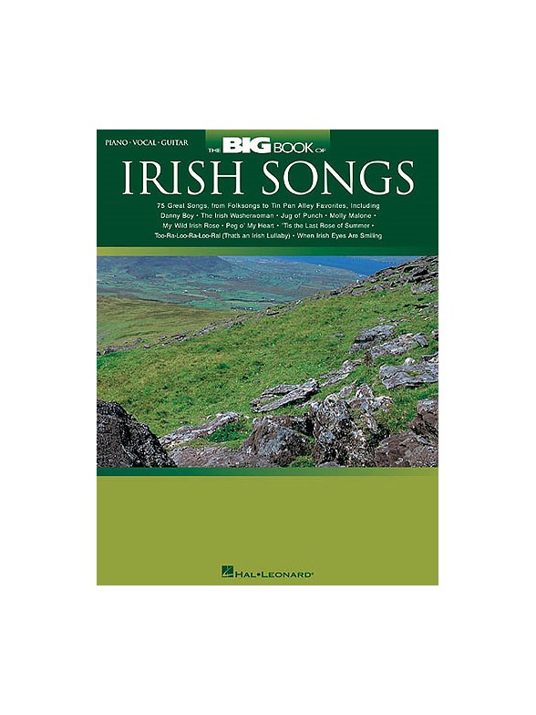 The Big Book Of Irish Songs
