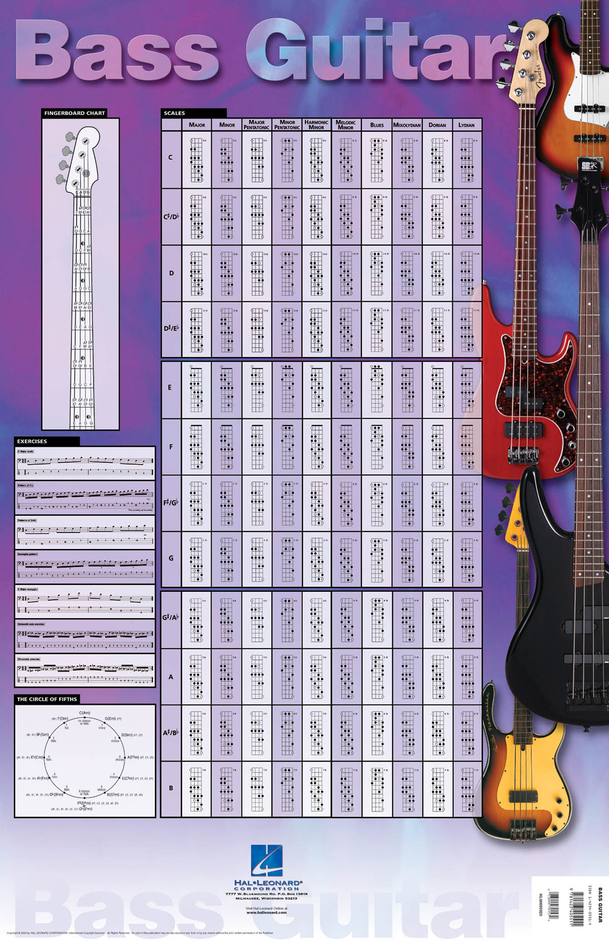 Basguitar plakat 61x91 cm.