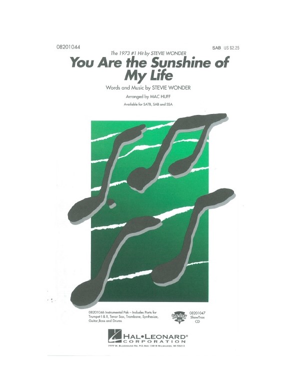 Stevie Wonder: You Are the Sunshine of My Life