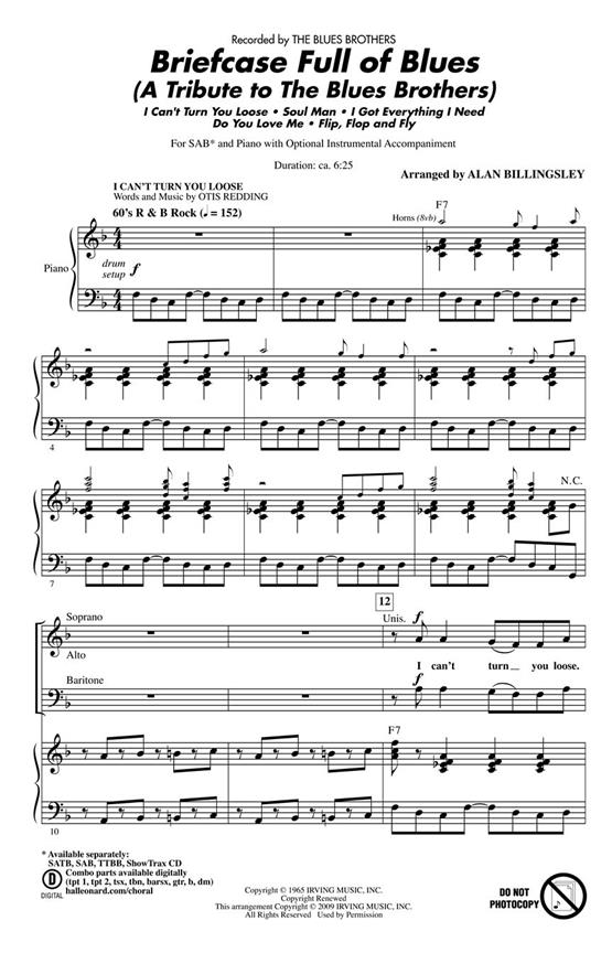 Briefcase Full of Blues : (A Tribute to the Blues Brothers)