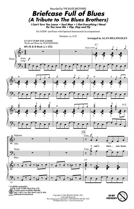 Briefcase Full of Blues : A Tribute to the Blues Brothers