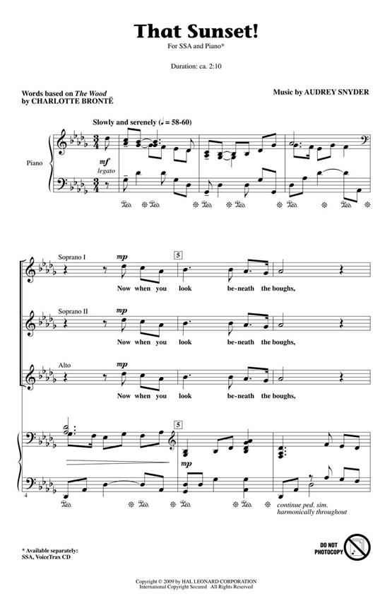 That Sunset! VOICETRAXCD