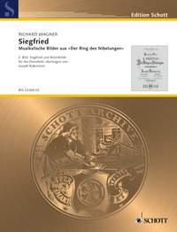 Musikalische Bilder : Siegfried II. Bild: Siegfried und Brunnhilde