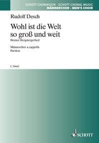 Wohl ist die Welt so gros und weit : Bozener Bergsteigerlied