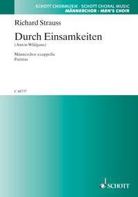 Durch Einsamkeiten o. Op. AV. 124 : fur vierstimmigen Mannerchor a cappella