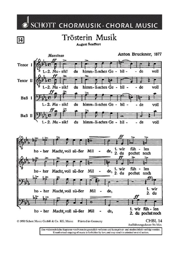 Trosterin Musik : Musik! du himmlisches Gebilde
