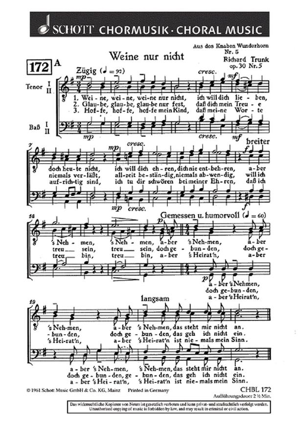 6 Lieder aus des Knaben Wunderhorn op. 30 : 5. Weine nur nicht / 6. Biwak Habt ihr die Husaren gesehen?