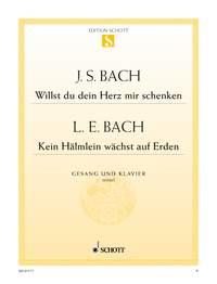 Willst du dein Herz mir schenken