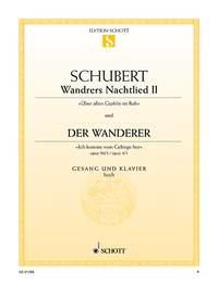Wandrers Nachtlied II-Der Wanderer