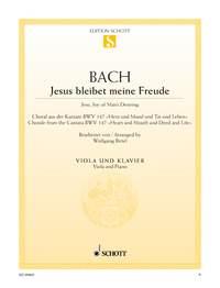 Jesus bleibet meine Freude BWV 147 : Choral aus der Kantate Nr. 147 Herz und Mund und Tat und Leben