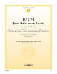 Jesus bleibet meine Freude BWV 147 : Choral aus der Kantate Nr. 147 Herz und Mund und Tat und Leben