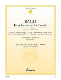 Jesus bleibet meine Freude BWV 147 : Choral aus der Kantate Nr. 147 Herz und Mund und Tat und Leben