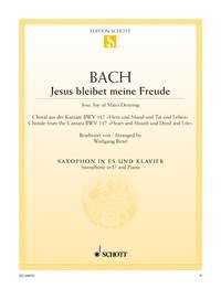 Jesus bleibet meine Freude BWV 147 : Choral aus der Kantate Nr. 147 Herz und Mund und Tat und Leben