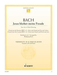 Jesus bleibet meine Freude BWV 147 : Choral aus der Kantate Nr. 147 Herz und Mund und Tat und Leben