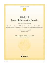 Jesus bleibet meine Freude BWV 147 : Choral aus der Kantate Nr. 147 Herz und Mund und Tat und Leben