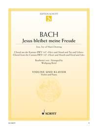 Jesus bleibet meine Freude : Choral aus der Kantate Nr. 147 Herz und Mund und Tat und Leben