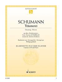 Träumerei op. 15/7 : aus den Kinderszenen