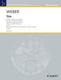 Trio G minor op. 63 WeV P.14 : Edited from the Text of the Carl Maria von Weber Complete Edition